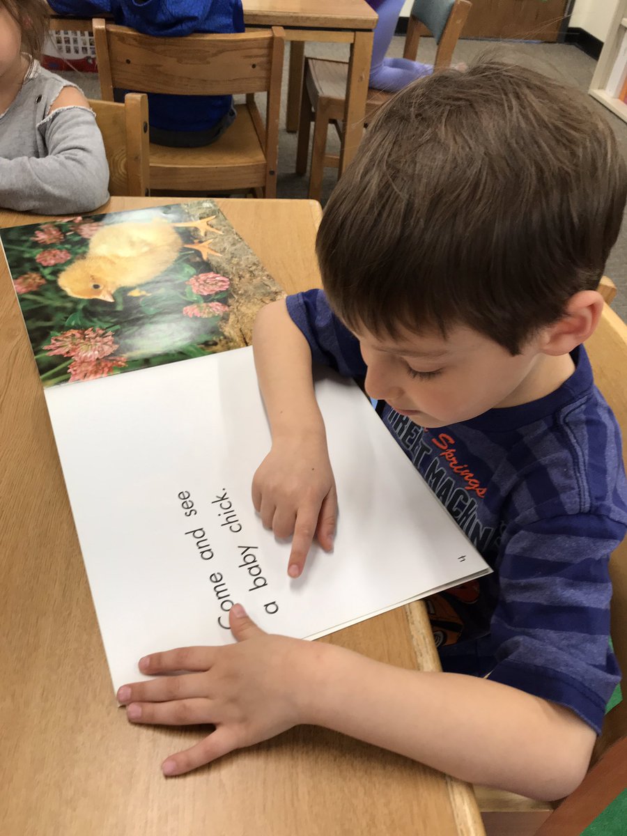HalpinBrooke's tweet photo. Little kinder teachers love to read! #112Leads #WeAreSherwood https://t.co/7eaQs7TTd1