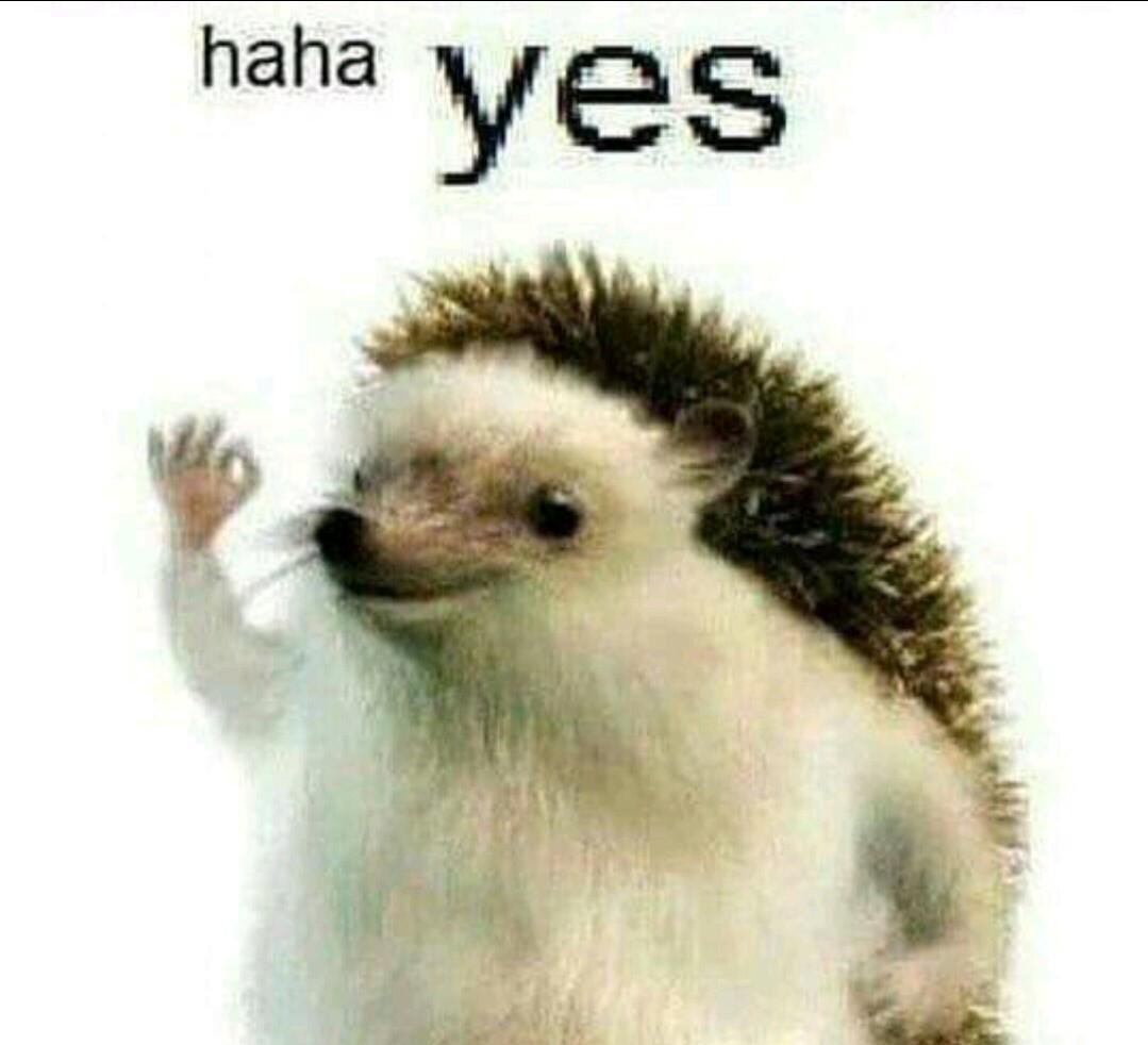 pocketfelix's tweet image. Hey I have a new account and I can make lots of links, please only dm or reply if you can make this :) 

mmt.fans/3Xtz/

#makexmake #makeformake #make4make #mxm #mform #m4m #mmt #StopwishingStartmaking #nowmaking #straykids #straykidsgermany