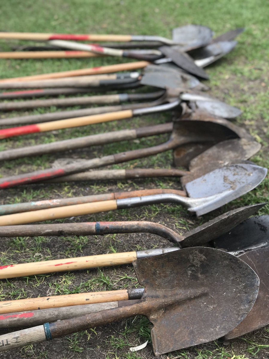 groovygreve's tweet image. Thank you Trees for Houston for our beautiful new trees! @Best_Bulldogs @TreesForHouston