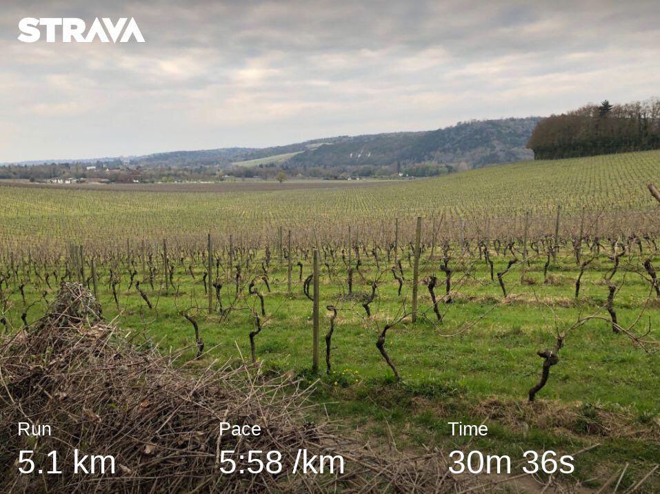 runrickersrun's tweet photo. It would have been very easy not to go out this evening especially after beer at lunch time and getting home late from work. But I enjoyed that. 

The hills around #Dorking still don’t got any easier but the views make it worthwhile! #Denbies #UKRunChat https://t.co/WYKnyfdPS8