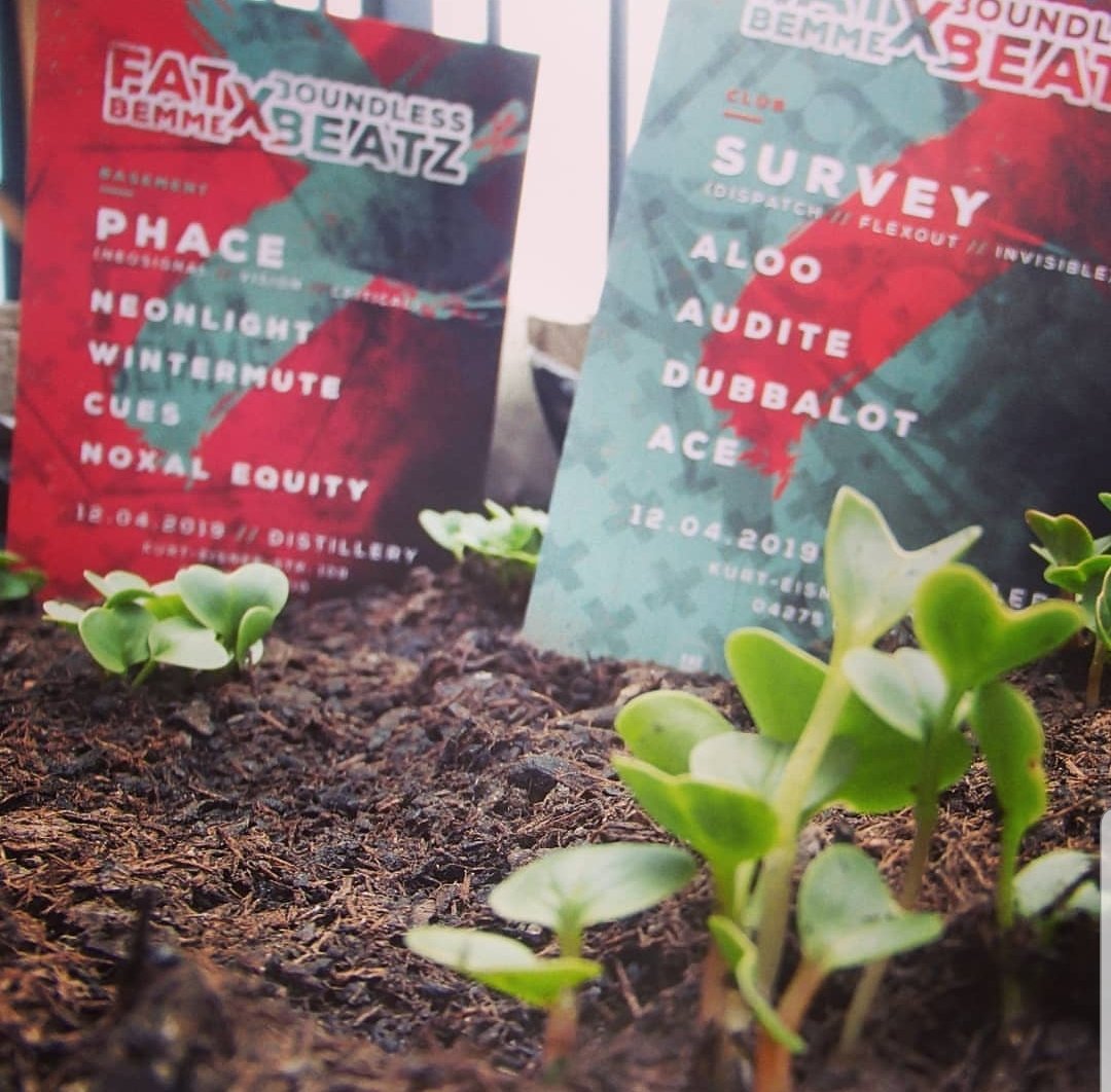 Boundless Beatz tweet media