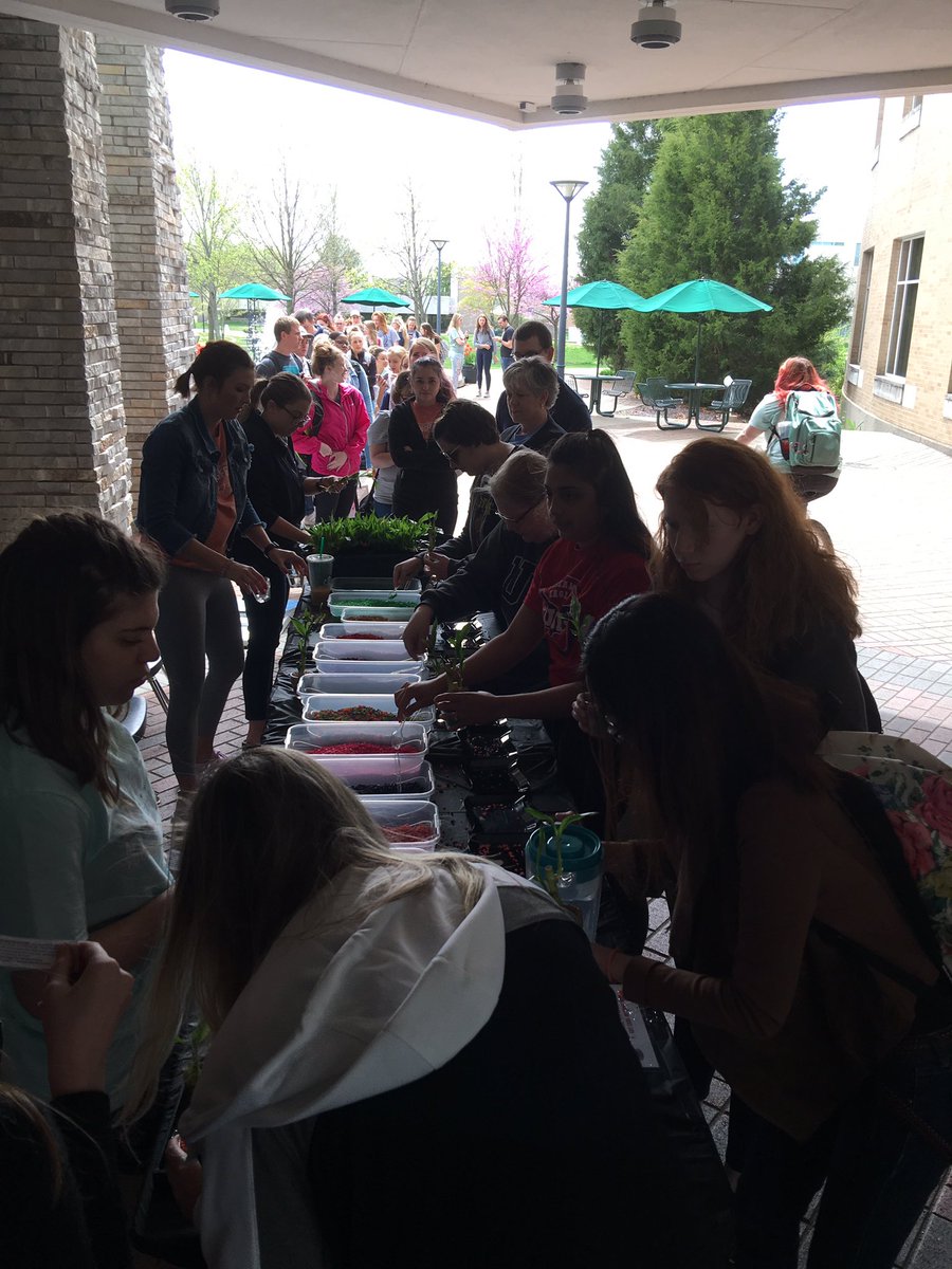 USI_SpringFest's tweet image. Stuffed animals &amp;amp; Bamboo right now! Come visit the University Center to get yours!