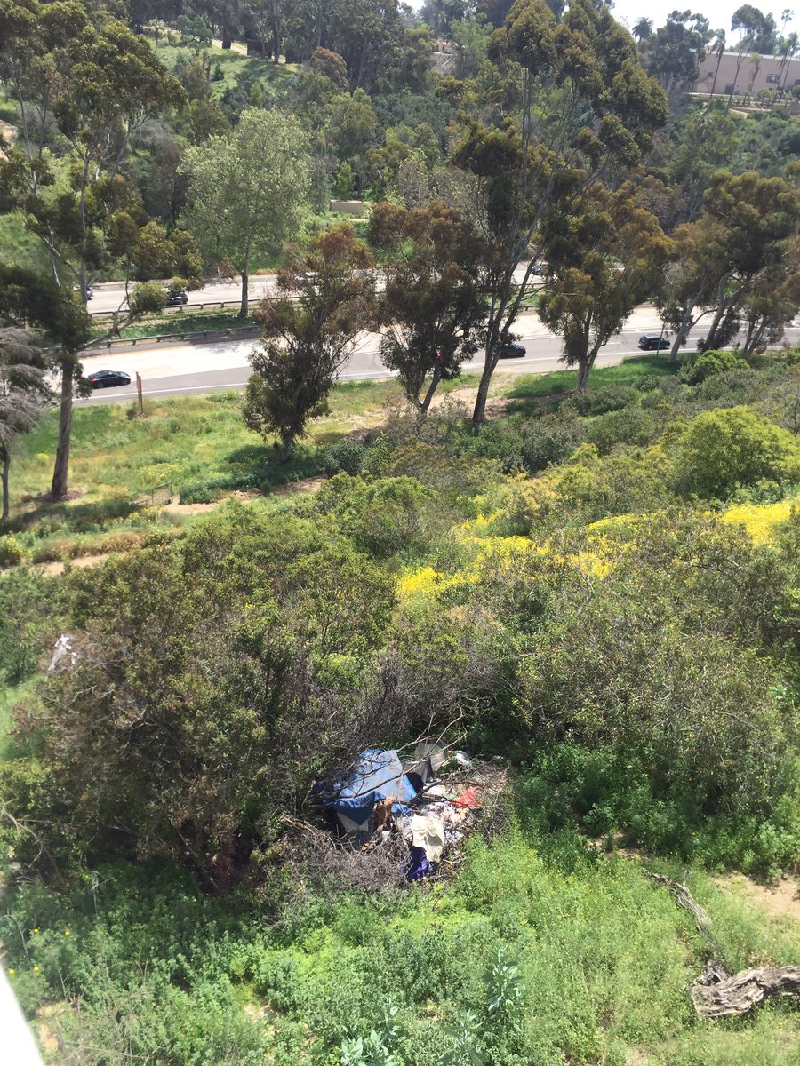 RANACTIONFUND's tweet photo. Balboa Park, San Diego CA.
Picturesque, never mind the homeless living and sleeping everywhere. At least the Navy was showing its presence! #GoNavy
#RecallGavinNewsom @RecallFionaMa #RecallBettyYee
https://t.co/oALFAgUTjt https://t.co/sSIXofRon6