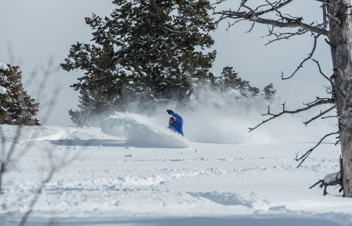 powdermountain's tweet photo. Raise your hand if you want to win a ski package giveaway!
For more info, check out our latest Instagram post!
👇
https://t.co/iMaN6NkIUd https://t.co/Naxf0Aj8G5