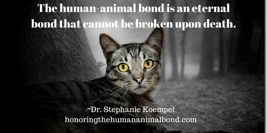 Dr Stephanie Koempel tweet media