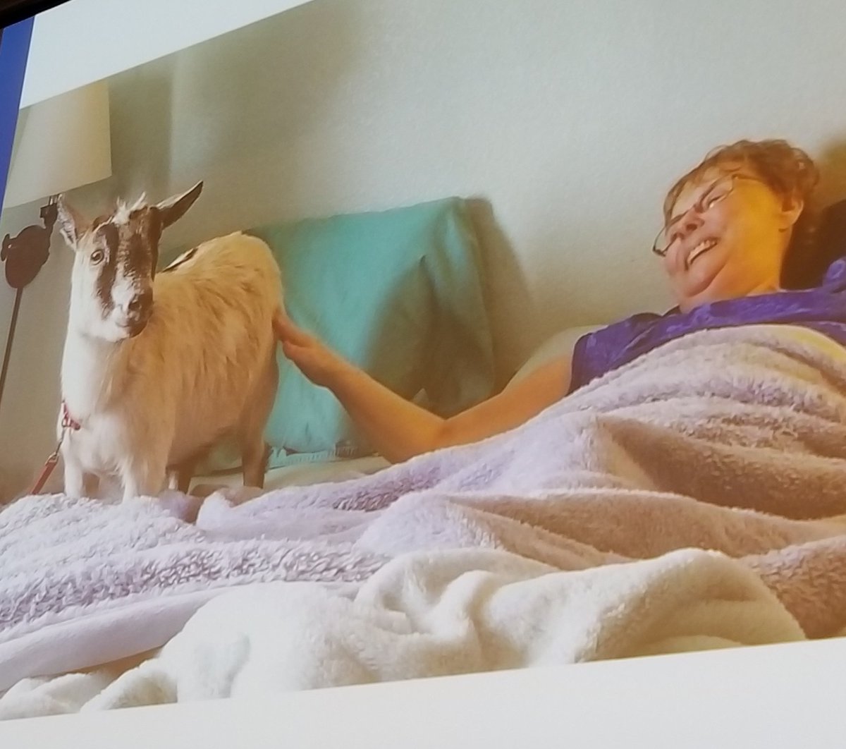 Mitchell_HCB's tweet photo. Is it ethical to treat patients to live longer to fulfill their wishes-- like petting a cow or goat--before taking lethal dose of meds to deliberately end their lives? #HMSABC https://t.co/s8nHz3NJHZ