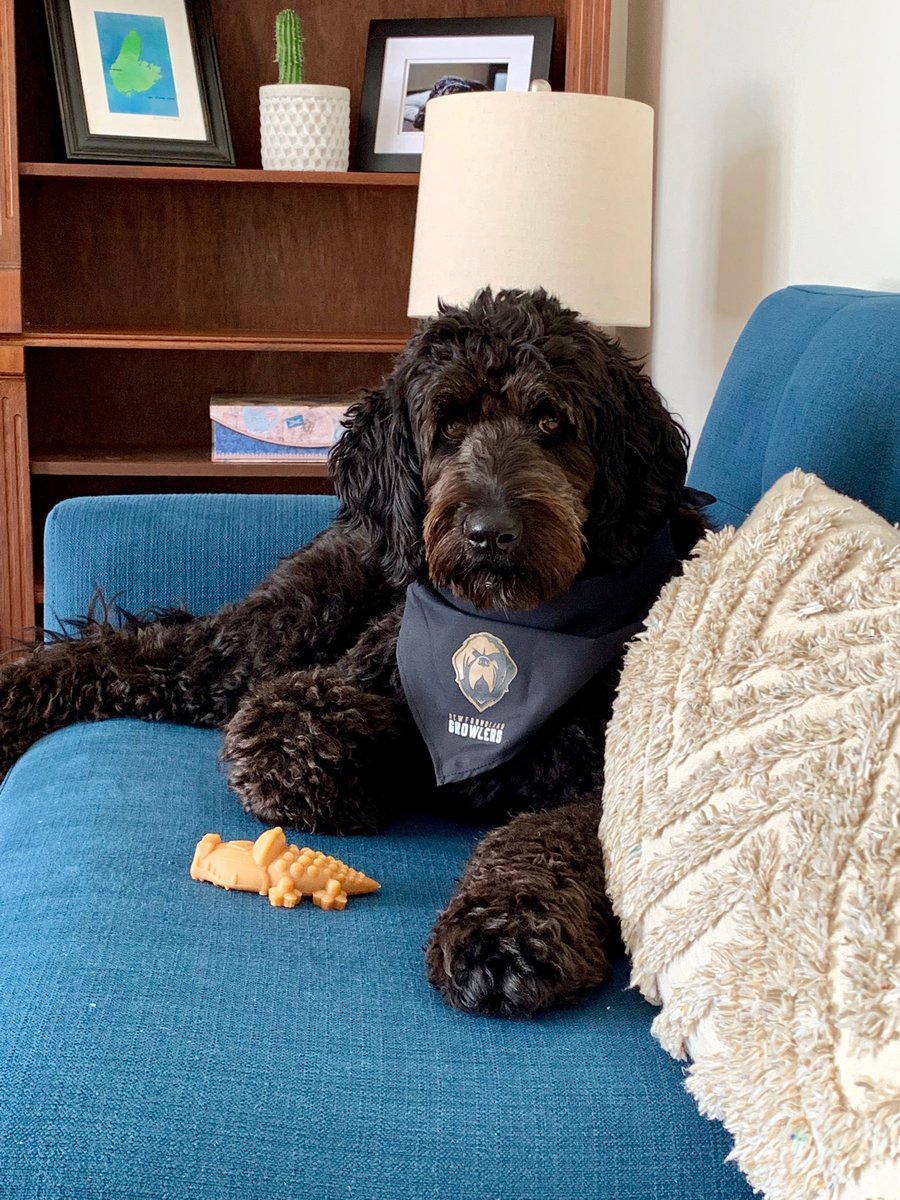 This Growler knows who she is cheering for during the ⁦⁦<a href="/ECHL/">ECHL</a>⁩ playoffs 🐶🏒 ⁦<a href="/NLGrowlers/">Newfoundland Growlers</a>⁩ #Playoffs2019 #StandOnGuard