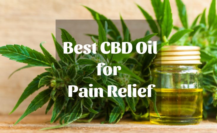 Seabedee2's tweet photo. Most recently, doctors are doing research to see if patients can use CBD oil for pain. To Know More, CLICK HERE:- https://t.co/HqzHbxR6KF

#cbdoil #CBD  #oils https://t.co/REdXoN1Gi5