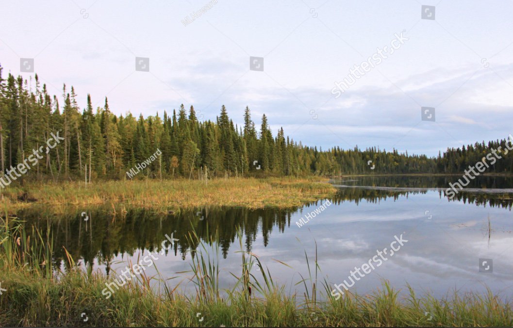 MaryLinHoward's tweet photo. Many #stockphotos by #MLHoward avail. on #Shutterstock LINK: https://t.co/7mbLTbTzZL
#Canadian #landscapes #Sunsets #songbird #Flowers #butterflies #insects #farming #tractors #bunnies #squirrel #frogs #nature #background #photography #photos & more. Landscape examples shown https://t.co/4WLRbgAl5Z
