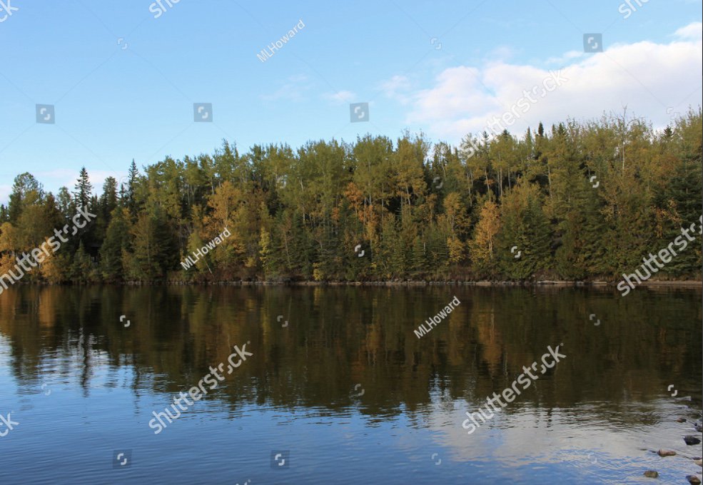 MaryLinHoward's tweet photo. Many #stockphotos by #MLHoward avail. on #Shutterstock LINK: https://t.co/7mbLTbTzZL
#Canadian #landscapes #Sunsets #songbird #Flowers #butterflies #insects #farming #tractors #bunnies #squirrel #frogs #nature #background #photography #photos & more. Landscape examples shown https://t.co/4WLRbgAl5Z