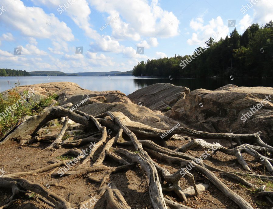 MaryLinHoward's tweet photo. Many #stockphotos by #MLHoward avail. on #Shutterstock LINK: https://t.co/7mbLTbTzZL
#Canadian #landscapes #Sunsets #songbird #Flowers #butterflies #insects #farming #tractors #bunnies #squirrel #frogs #nature #background #photography #photos & more. Landscape examples shown https://t.co/4WLRbgAl5Z