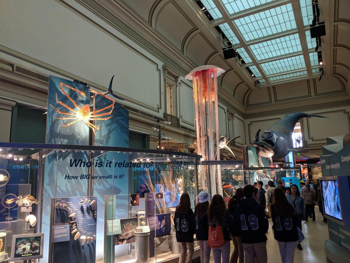 Lancers are doing great!  Definitely getting in our steps today 😁.  Currently visiting the Smithsonian Museums <a href="/BHMSLancers/">BHMS</a> <a href="/bhschools/">BHSchools</a> <a href="/Renglish71/">Randy English</a>