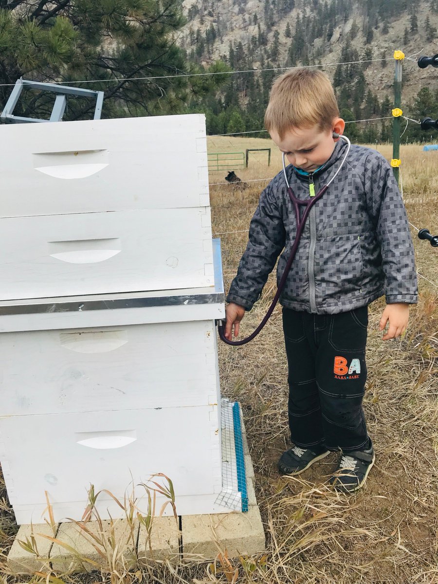 The Honey Bee Veterinary Consortium (HBVC) conference registration is open! We'll focus on what lg- scale &amp; hobby beekeepers need, esp w/ regards to VFDs &amp; dz mngmt. HBVC exists to educate vets &amp; apiarists on how to integrate vet care into beekeeping See: bit.ly/2UzAdUA