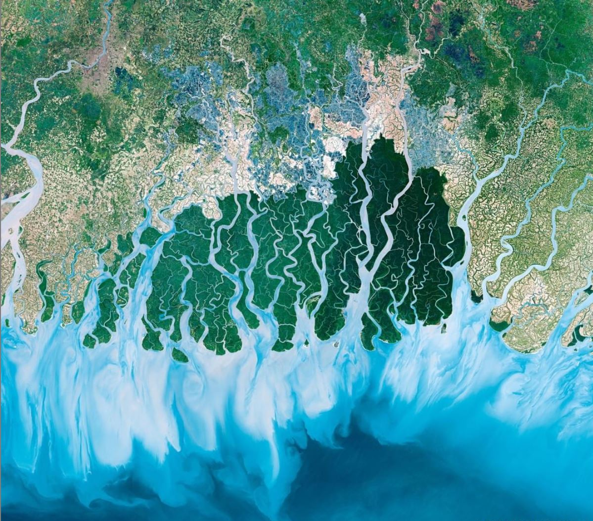 Lotus Water tweet media