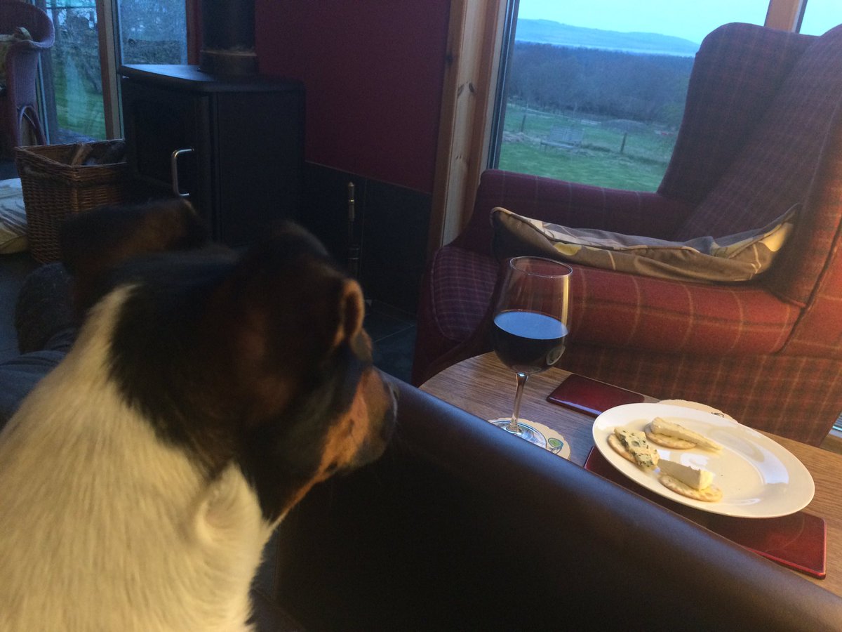 donald_lockhart's tweet photo. As usual, Iβm obliged to share my cheese and water biscuits with a #JackRussellTerrier. Great having a good local cheese-maker on our doorstep in #Tain #HighlandFineCheeses #StrathdonBlue #MorangieBrie https://t.co/b7MQpf3zIq