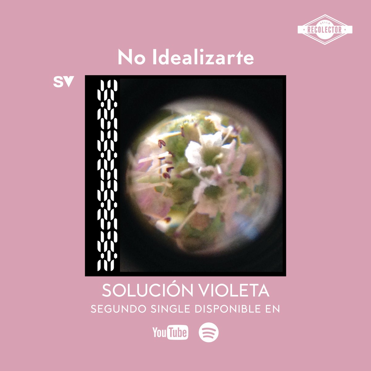 SelloRecolector's tweet photo. Segundo single de @solucionvioleta en todas las plataformas de streaming. La canción "No idealizarte" cuenta con la colaboración de la banda @tecnicasmanuales y es parte del Ep "La Belleza y la Ansiedad" Disfrútalo https://t.co/fjPLqHWPGF  Grabado y mezclado: #estudiogolfopersico https://t.co/4u0yKaVALA