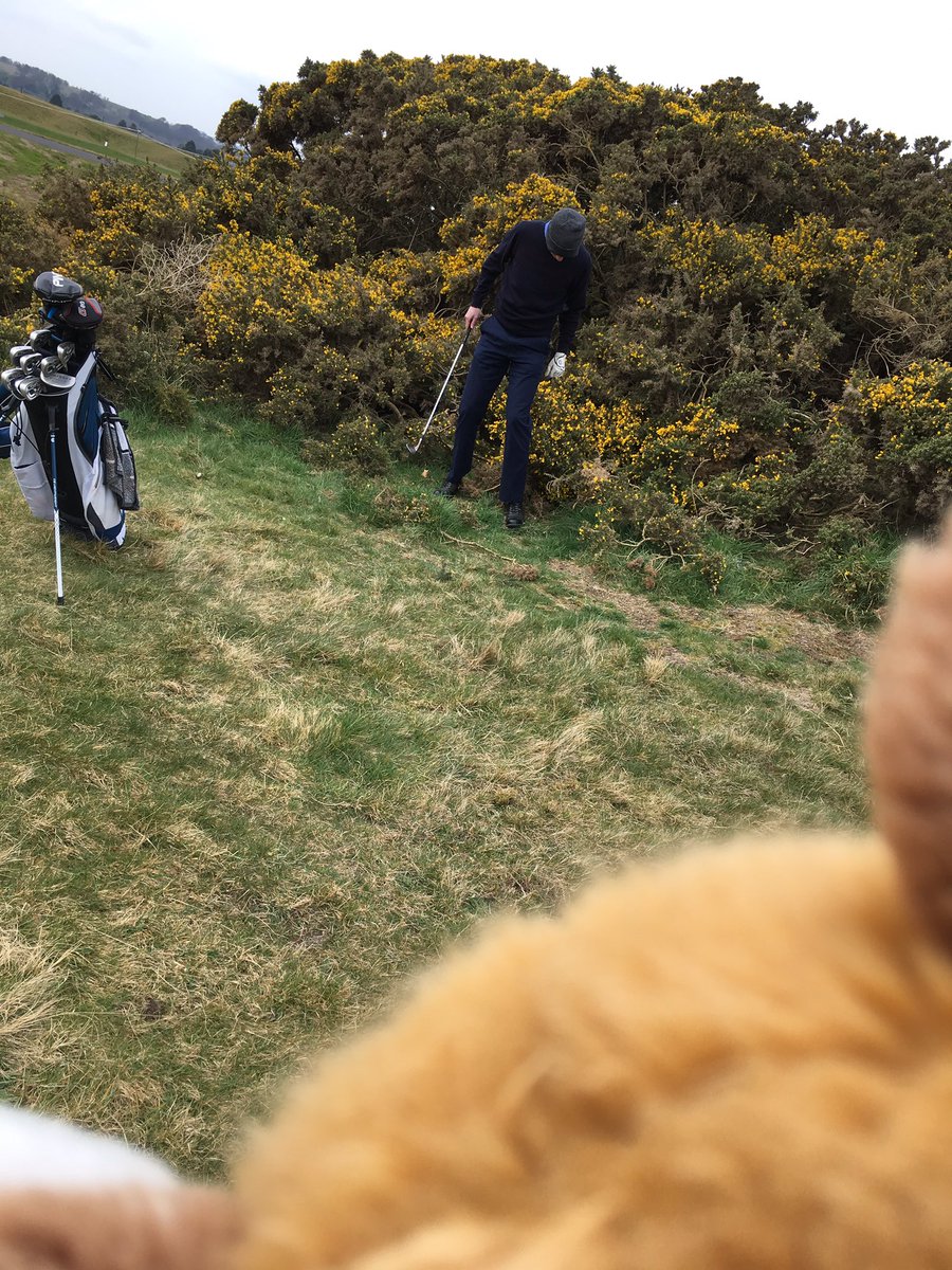 thechateaufox's tweet image. Today’s golf went as planned for the Boss and this fox. Never really had to move out of third gear against @chateauxwindy. A real demonstration in ballstriking. Again. #thirdgear #foxontour
