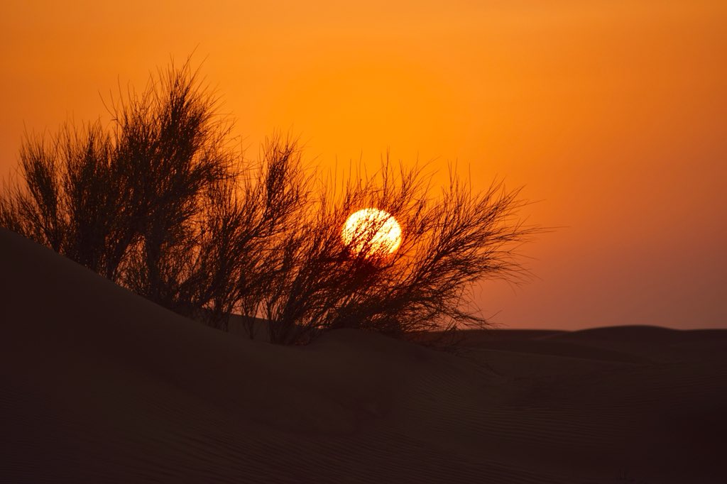 @simoncwoodley @StormHour @EarthandClouds @BBCEarth @BBCWthrWatchers @B_Ubiquitous @HarmonyMindBody @Picfair @BestEarthPix @PicturesHQ @PicPublic @PicPoet @BonfirePictures No clouds in this one! 

#DesertSunset @visitdubai #photooftheday #PhotoOfTheWeek #StormHour looks like #StarWarsCelebration