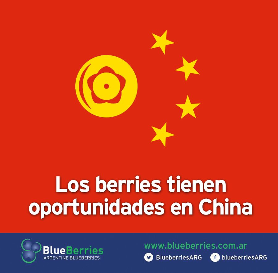 BlueberriesARG's tweet photo. Los berries tienen oportunidades en China
Grandes oportunidades para los proveedores globales de berries, ya que los consumidores se hacen más ricos y demandan alimentos más saludables.
👉 https://t.co/jnbp5Jh2kM https://t.co/5tWcd7dxiy