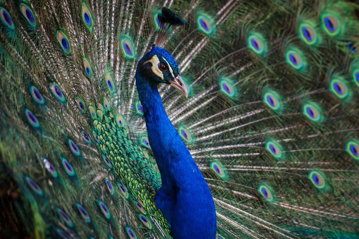 predictainc's tweet image. Your best consumers are the ones who know how important they are.
Their feedback is invaluable to marketers and product developers alike. Read on to see why.
#MarketResearch #Branding #Blog #Review #Forum #UGC #CGC
buff.ly/2wkXf5H