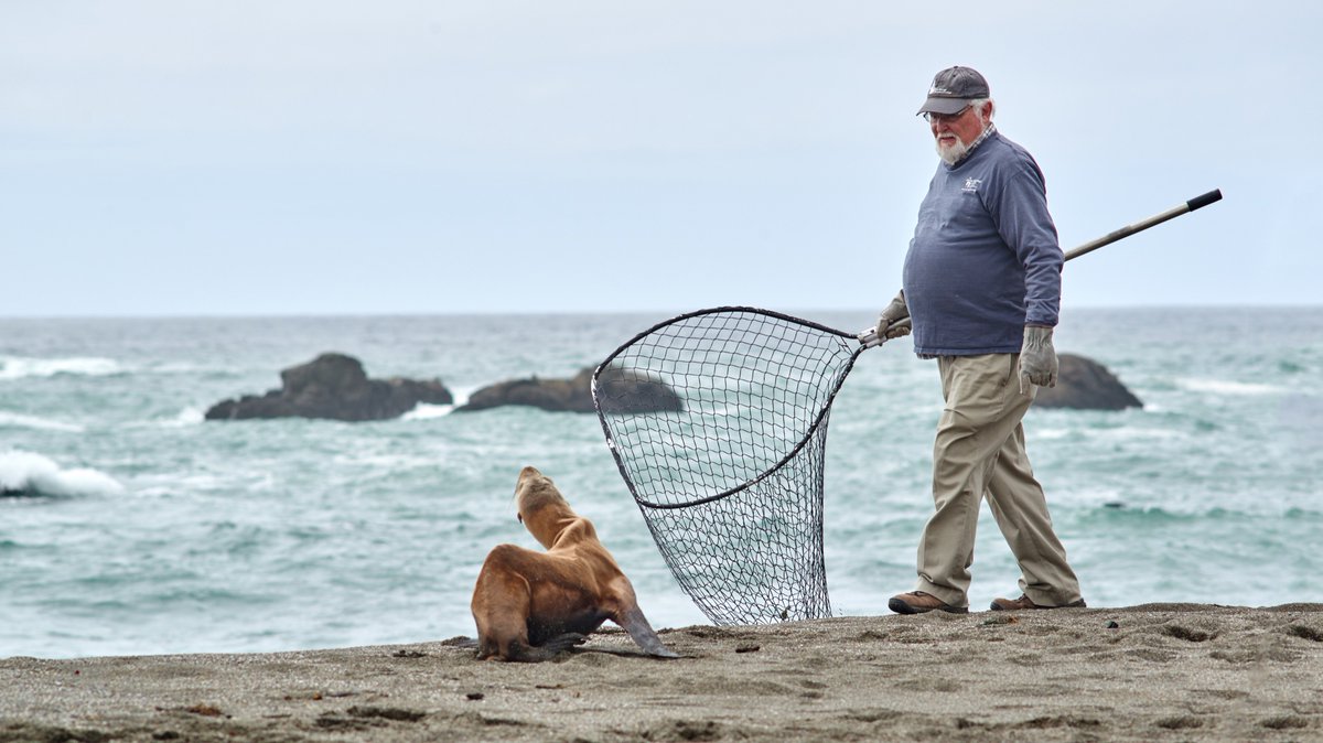 TMMC's tweet photo. It's Volunteer Appreciation Week! We have a mind-boggling 1,400 volunteers that help in every aspect of our organization. Our work would not be possible without these caring individuals 💕 How would you describe this pic? Tweet us your best caption! #CaptionFriday https://t.co/HtsChc6sgF