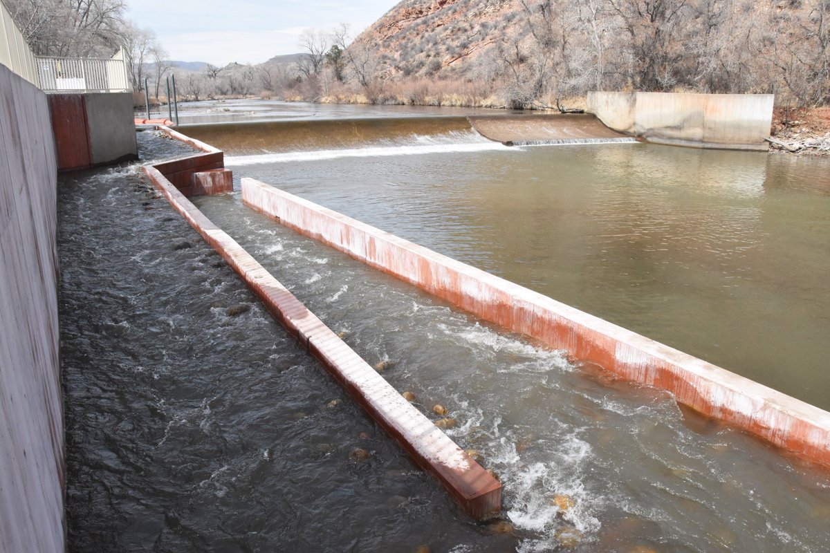 northern_water's tweet photo. Watson Lake Fish Bypass is complete. Among other benefits, this NISP element provides upstream fish movement through a section of the Poudre River that was previously disconnected. Thank you, @COParksWildlife, @noosayoghurt and Morning Fresh Dairy. https://t.co/E9tqH2sSUg https://t.co/2qdXgCz2pC