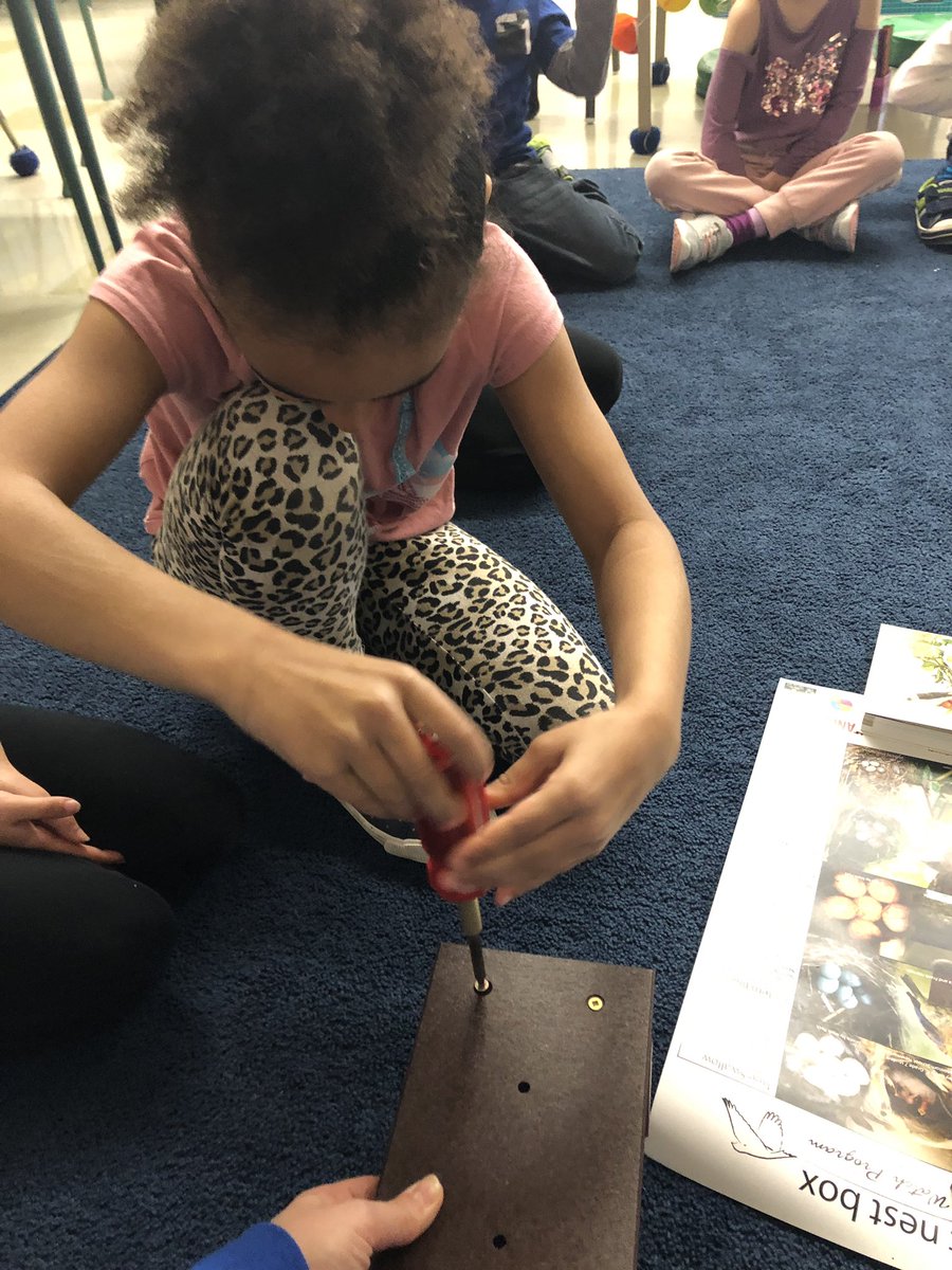 HeatherBrush15's tweet photo. Today we worked together and build our nest boxes. We found some good spots to instal them on the playground so we can watch the nesting habit of local birds. Students used their wonder journals to write down some of their thoughts. #projectnestbox https://t.co/OZWjSMO47a
