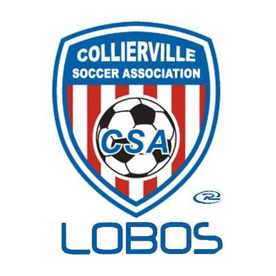 RushLobos's tweet image. #NewProfilePic