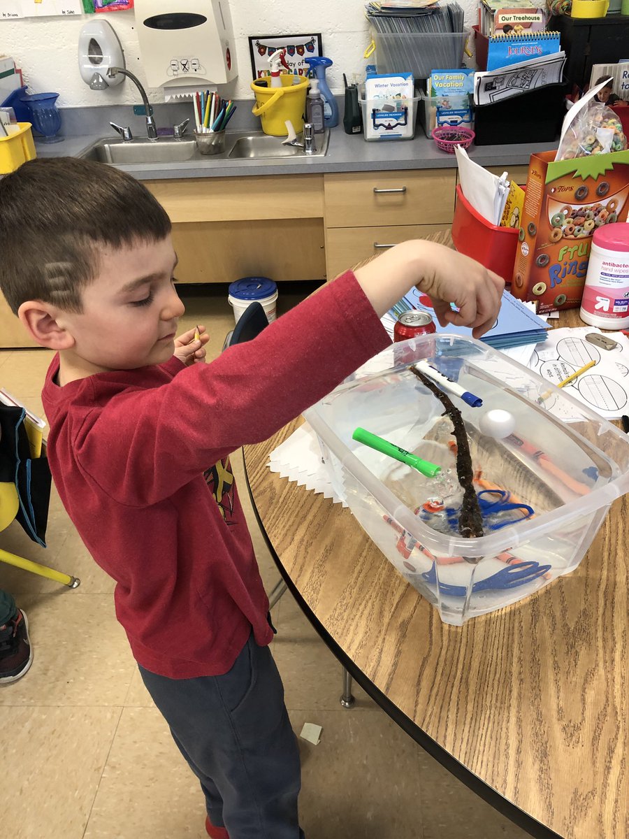 Will it sink or float? #buoyancy #scientists #experiment @KESPrincipal6Cs <a href="/JanetWarden/">Dr. Janet Warden</a> @Carmelschools