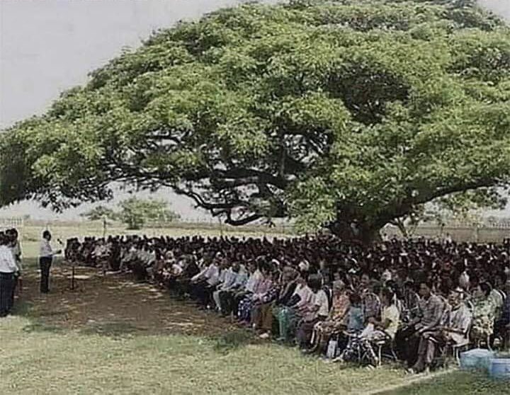 Tek bir ağacın değeri:

<a href="/ClassicPict/">Story in Pictures</a>