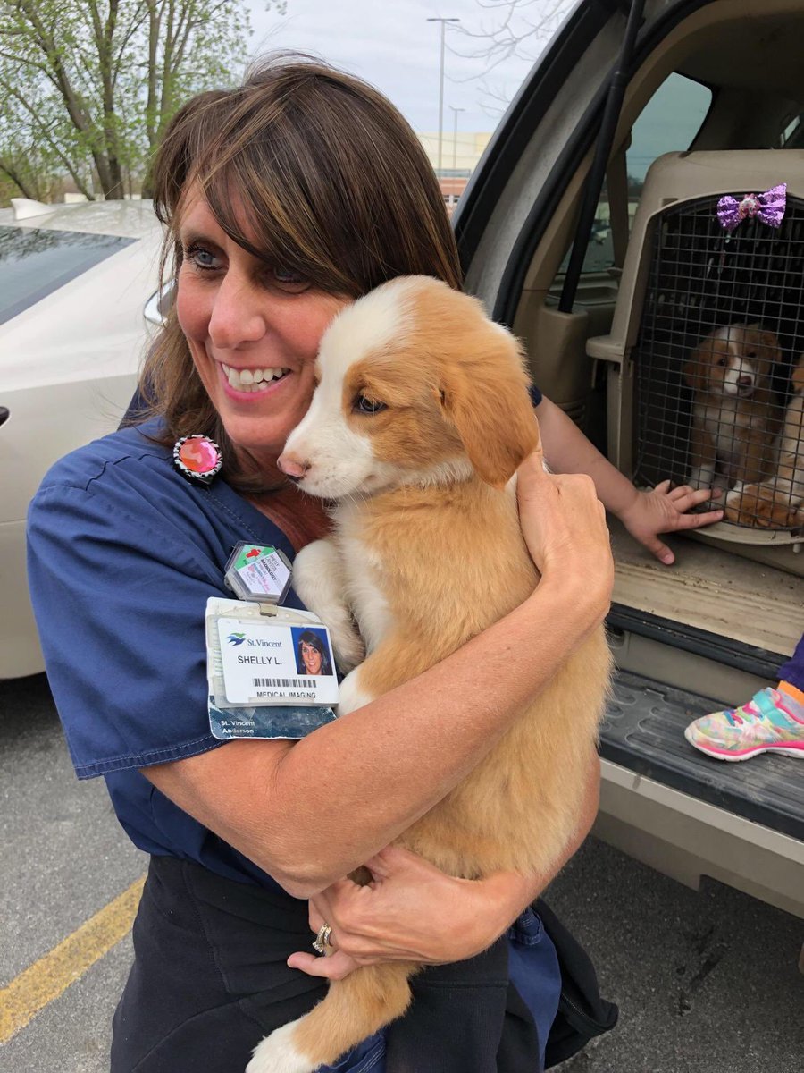 sorry to be basic but my mom said 500 retweets to get this dog. PLEASE help me out!!!