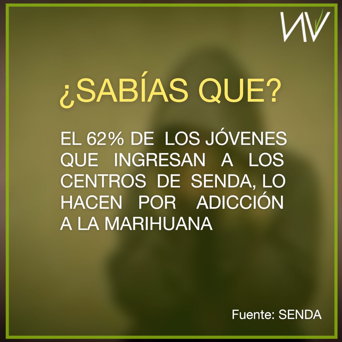 CentroNovaVida's tweet photo. #MalaNoticia ⚠️ La Marihuana es la causa más común de ingreso a tratamiento en todo Chile https://t.co/xjEUfOZh23