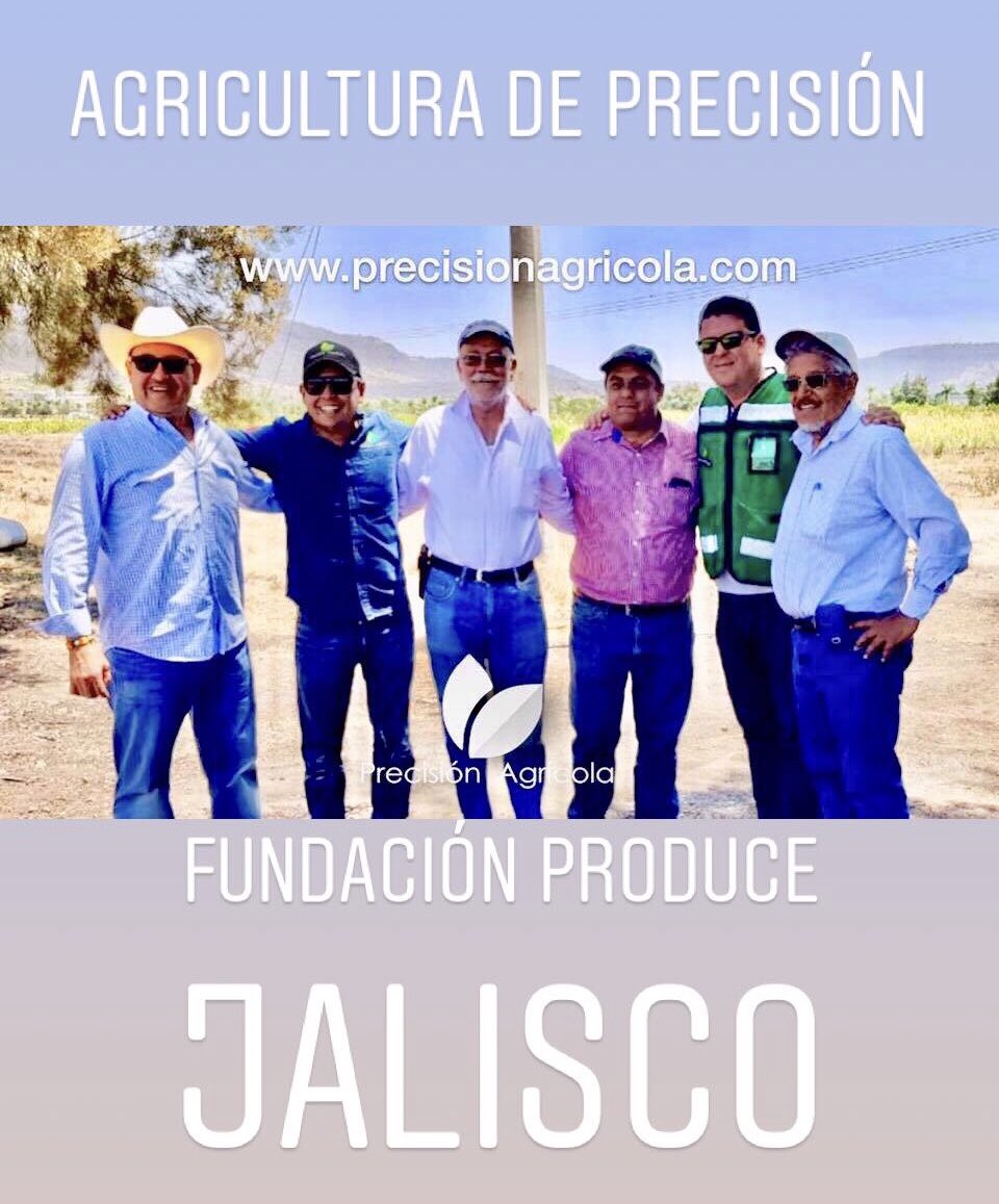 Precisionagmx's tweet photo. Espectroscopía avanzada para la detección de enfermedades de los cítricos en etapas tempranas de desarrollo.

(Antracnosis, HLB, Wood pocket) 

@Precisionagmx @MicaSense @Wingtra @funprojal 
#precisionagricola
#agriculturainteligente #iot #IFlyRedEdge https://t.co/9fw1W88OZu
