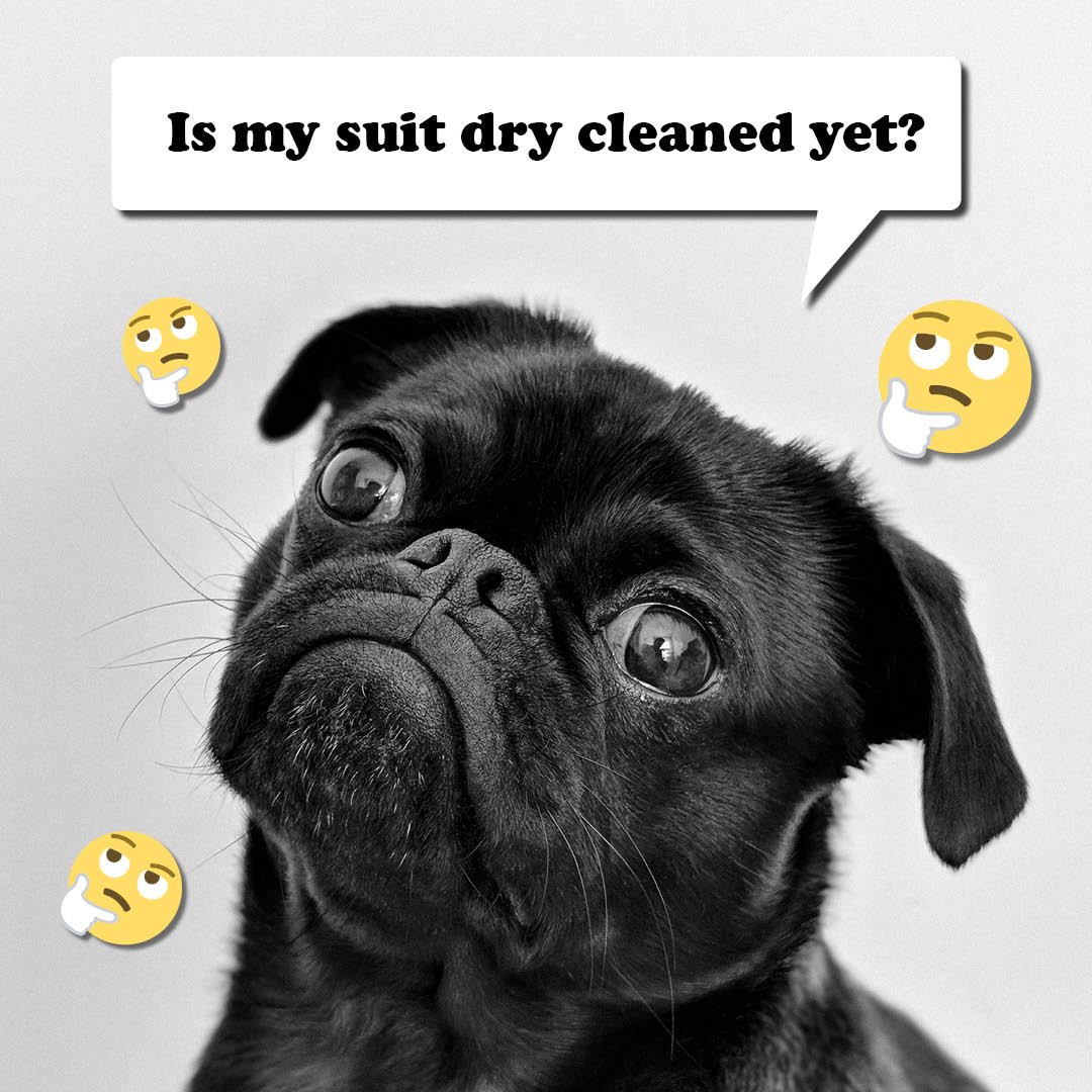 PerfectCleaners's tweet image. We don't take long for our dry cleaning services -- we believe in getting what you want, when you need it. Stop by to test our dry cleaning speed for your garments today!