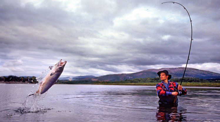 PopularMagz's tweet image. Mau tau, kenapa #Memancing ikan itu hobi yang menyenangkan?bit.ly/2Uy1C9z