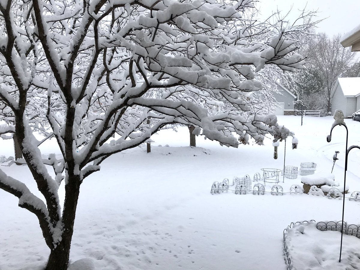 stitchingart's tweet image. Spring in MN.  The birds are not happy today. A whole flock is hanging out on my deck by the feeder. They have literally been there all afternoon. #mnspring #hangrybirds