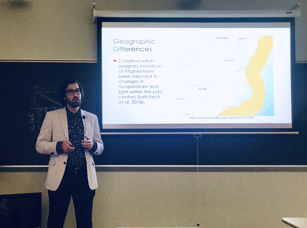 seagrassgirl's tweet photo. Congrats to Evan Heit for successfully defending his honors thesis on the impacts of stress on Zostera marina carbohydrate reserves.  Way to go Evan! #seagrass #uncwcms https://t.co/zhLdU7UmY4