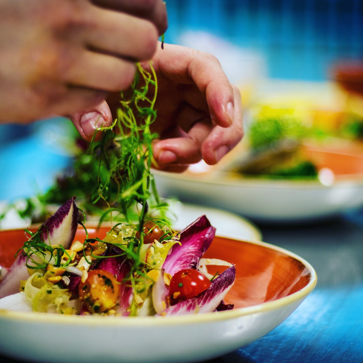 Chicory salad <a href="/foodatsky/">Tristian Harmsworth</a> <a href="/workforsky/">LifeAtSky</a> @churchill1795