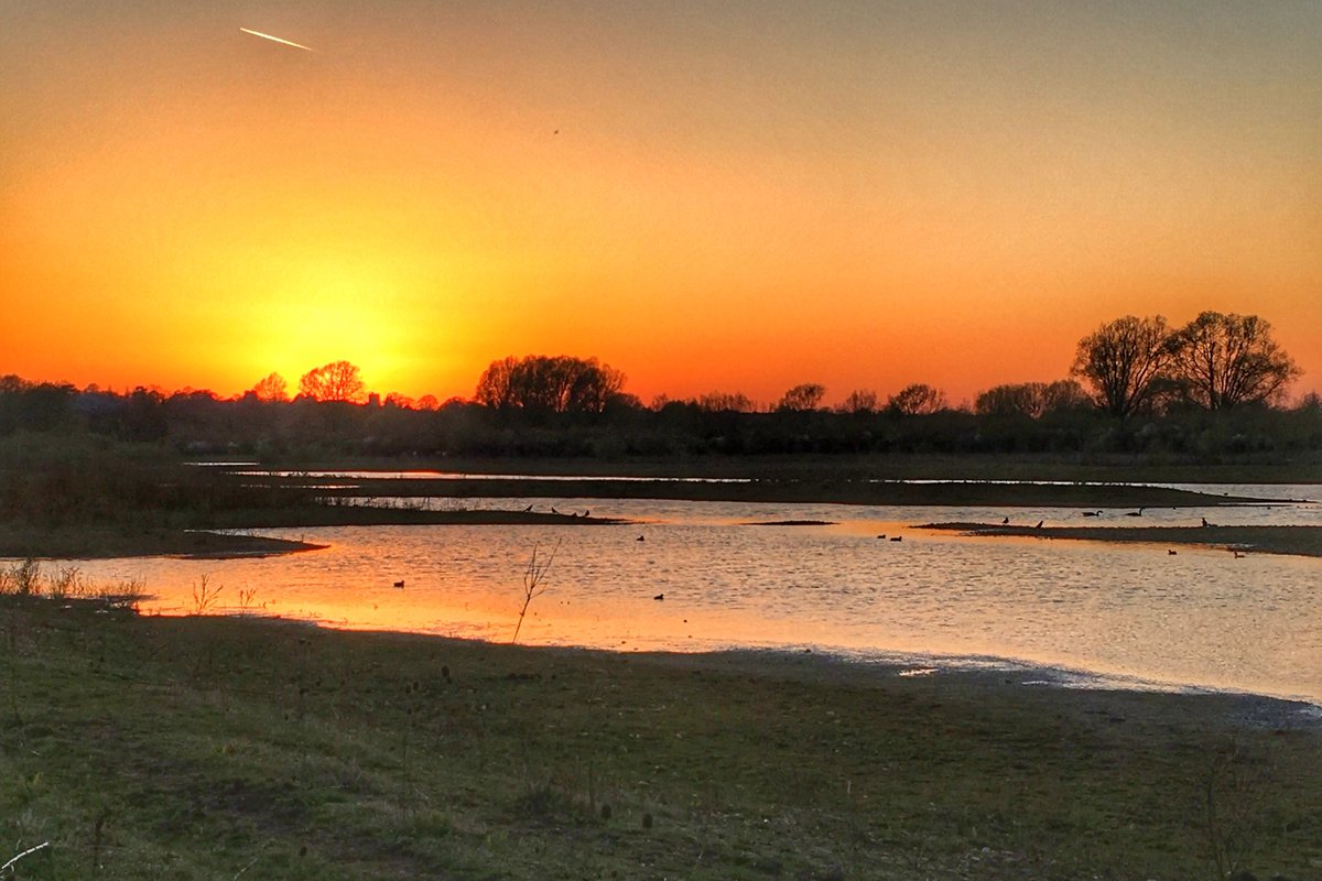Evening glow over the floodplain forest ⁦<a href="/scenesfromMK/">scenesfromMK</a>⁩ ⁦<a href="/TheParksTrust/">The Parks Trust</a>⁩