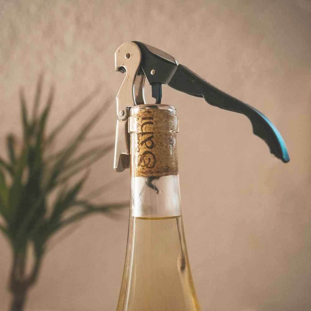 Es Miércoles, Empezamos?🍸
.
.
.
#MuchoQueHacerteSentir #CalidadExtremeña #VinoParaEnamorar #TradicionExtremeña #bodegasSani #Chardonnay #Primavera #Madrid #WineLover #Wine #Winery