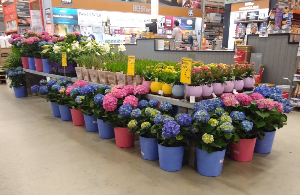 PPSLinda's tweet photo. HD3645 West Asheville #Eastersonitsway @DanielHortonTHD @PNewtonPlants @Stephen_E_Camp @DyerEric18 @PPSinHD @BobbyBoaenTHD @DouthitChris @spoonholtz https://t.co/2HzOVqREwL