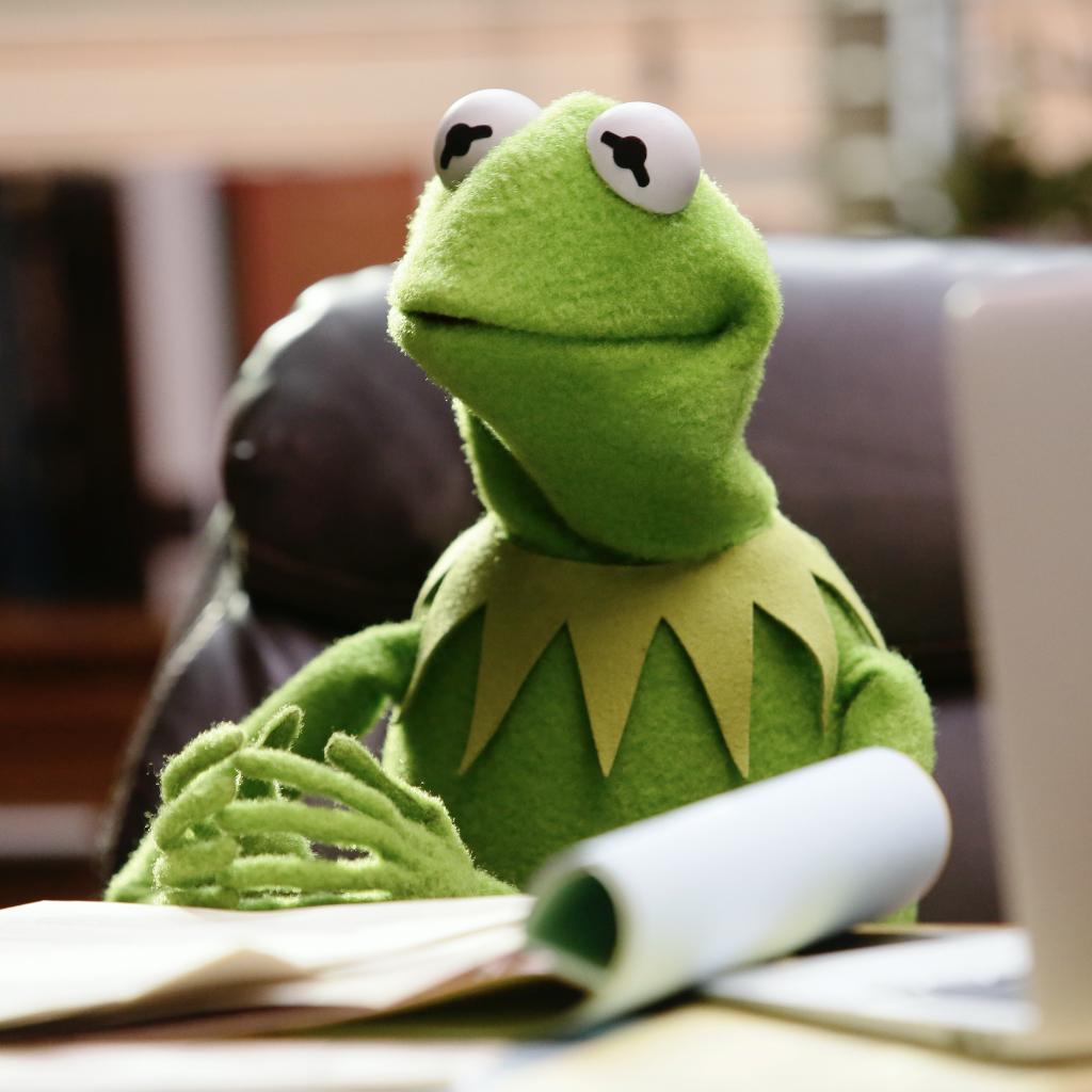 Kermit the Frog on Twitter "If I sit here patiently long