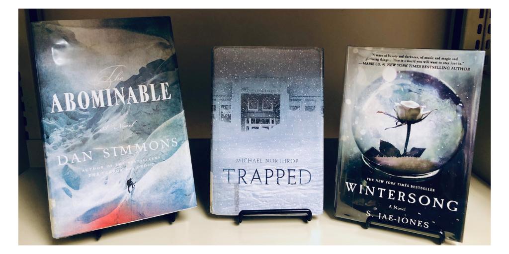 CTHS_Library's tweet image. When your book matches the weather🌨️Prepare for the blizzard with a wintery-themed book! #cthslibrary #blizzard