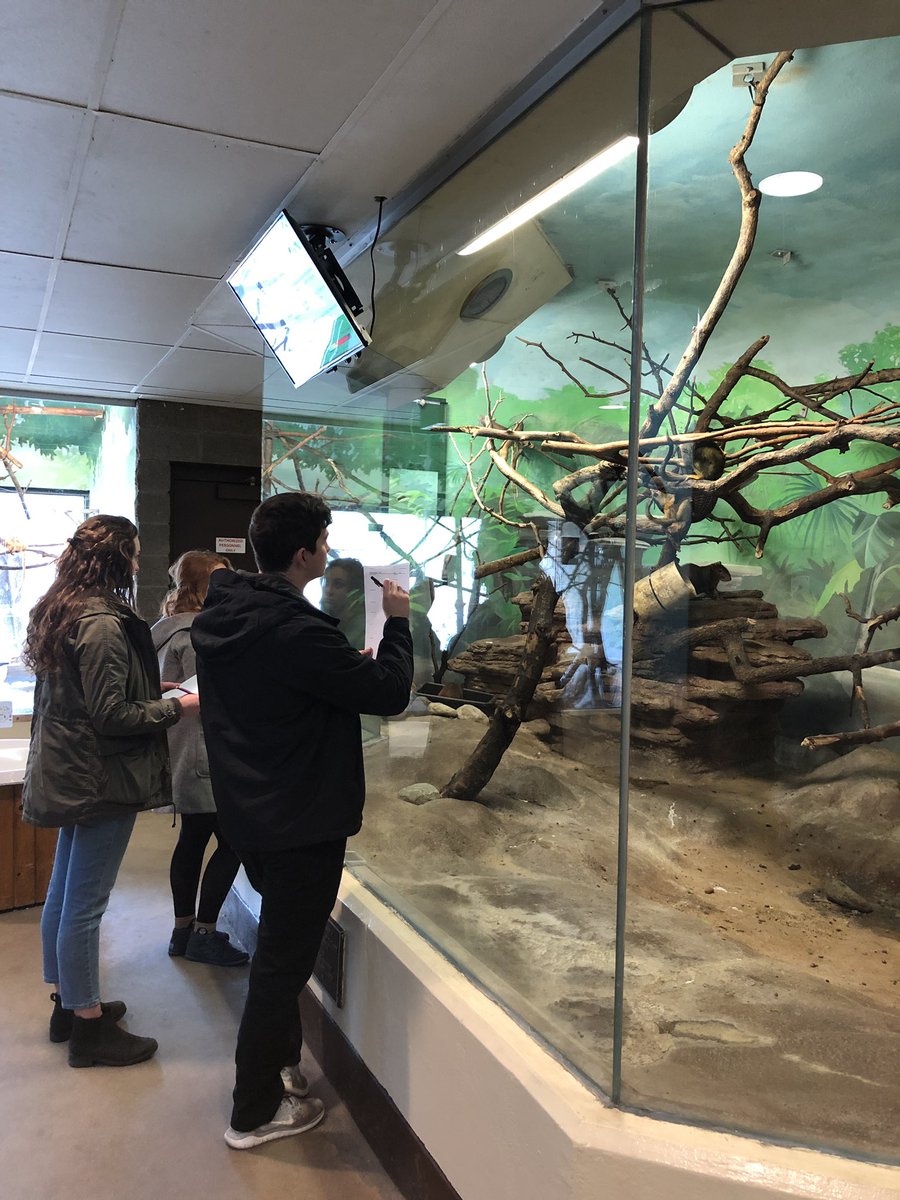 gsabrinus's tweet photo. Students watching squirrel monkeys @PotawatomiZoo on #NDmammals field trip. #behavior #primates #funassignment https://t.co/d44IQehUS6