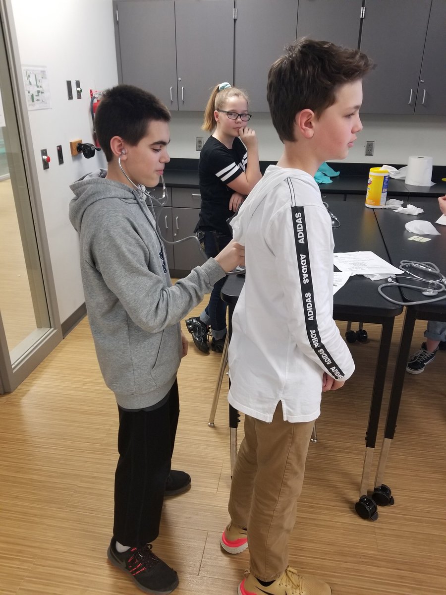 Students exploring the cardiovascular system today in class