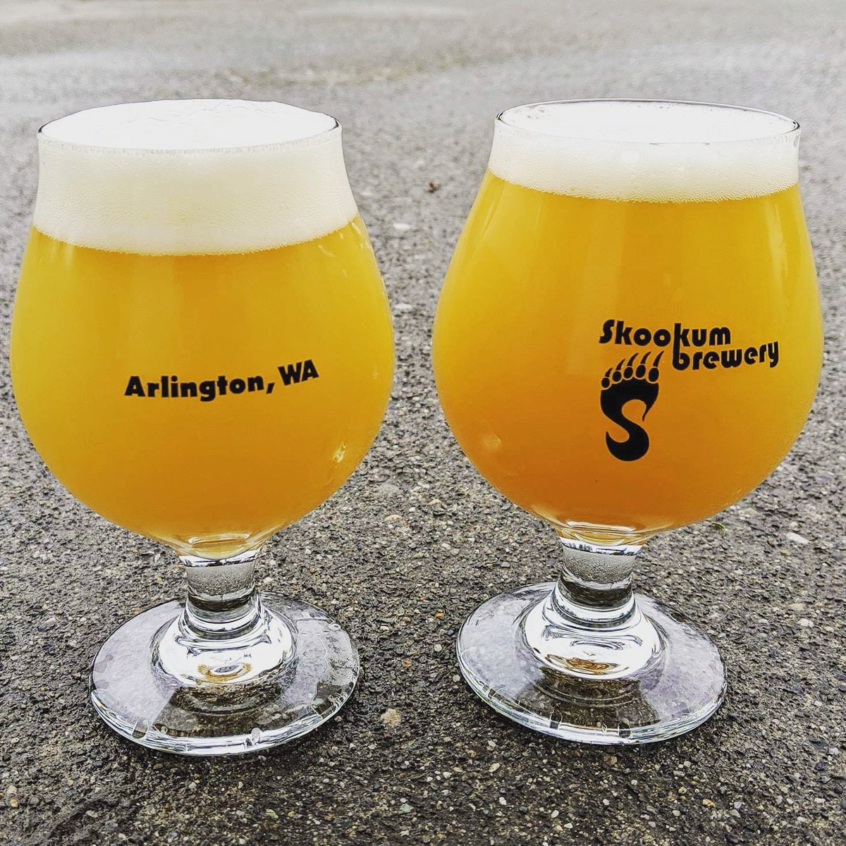 Two new ipas rolling on this IPA Wednesday! Dance Epidemic is a spring ipa collab with the awesome brew team Wander Brewing. Crisp and crushable. 6.5%. Gold Bloom is an oat IPA brewed w/ the Trinity of hops citra, amarillo and simcoe.6.7% #skooktangclanaintnothingtofloccwith