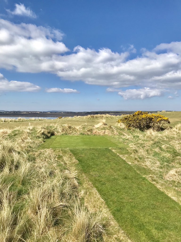 GavNeill's tweet photo. Late winter project completed today, the new 12th Championship tee on the New Course @TheHomeofGolf. #Linkstrophy2020 https://t.co/OBd4G21Ov4