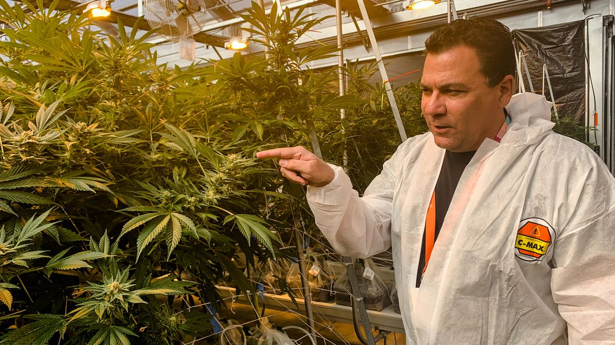 ThinkTankExile's tweet image. Bags Of Cash, Armed Guards And Wary Banks: The Edgy Life Of A Cannabis Company CFO 

"Because these are essentially cash-only businesses, they become sitting ducks for robberies, thefts and those sorts of things." w33d.us/lxzyyanq