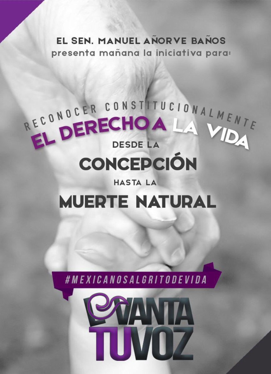 LideresXlaVida's tweet photo. Hoy en el Senado el Senador @manuelanorveb presentará una iniciativa de ley para reconocer Constitucionalmente el Derecho a la Vida desde la concepción hasta la muerte natural. 
Apoyemos esta iniciativa.
#LevantaTuVoz
#MexicoLibreDeAborto
#SalvemosLas2Vidas 
@LideresXlaVida https://t.co/N6fwb4LNSo