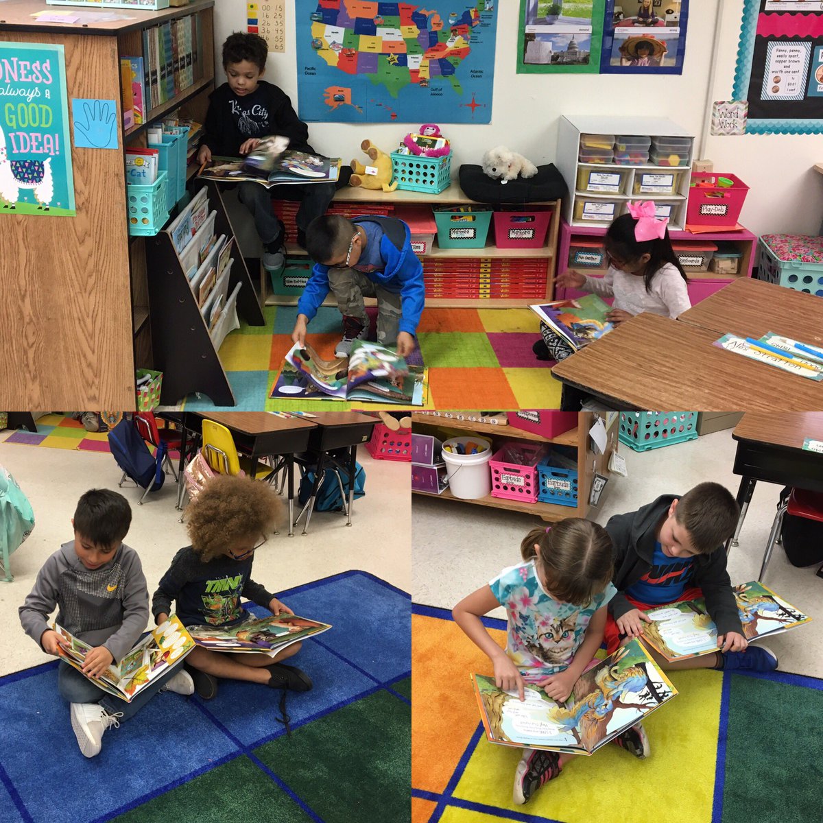 Melissa Stewart tweet media